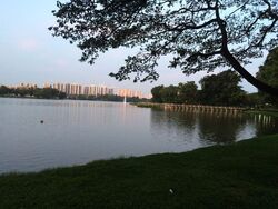 The LakeGarden Residences (D22), Condominium #582980911